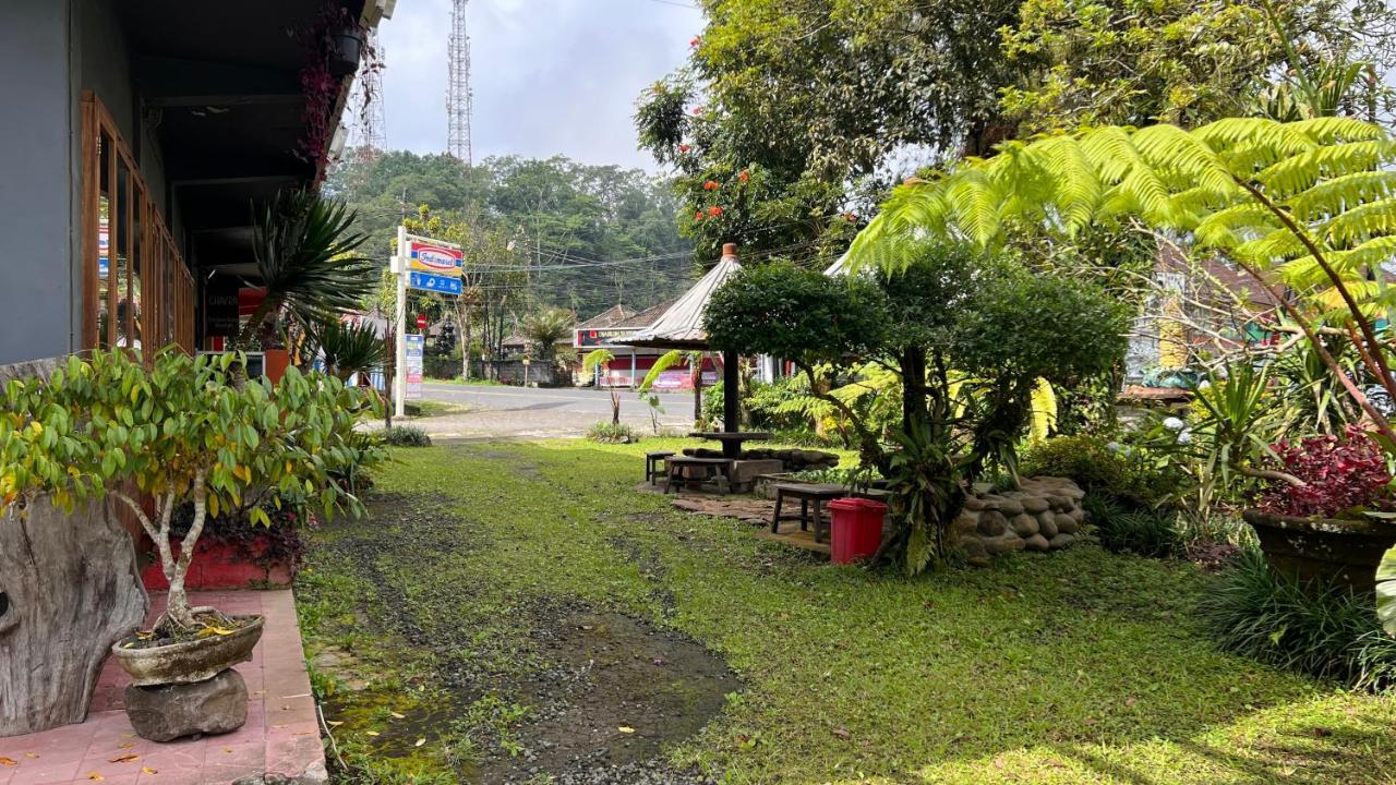 Chakra Tavern Hostel Bedugul (Bali)